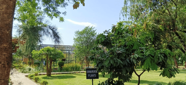 MJPRU Campus & Facilities photo 10